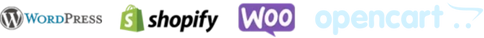 build a website (2)
