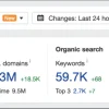 SEO & Links