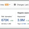 SEO & Links