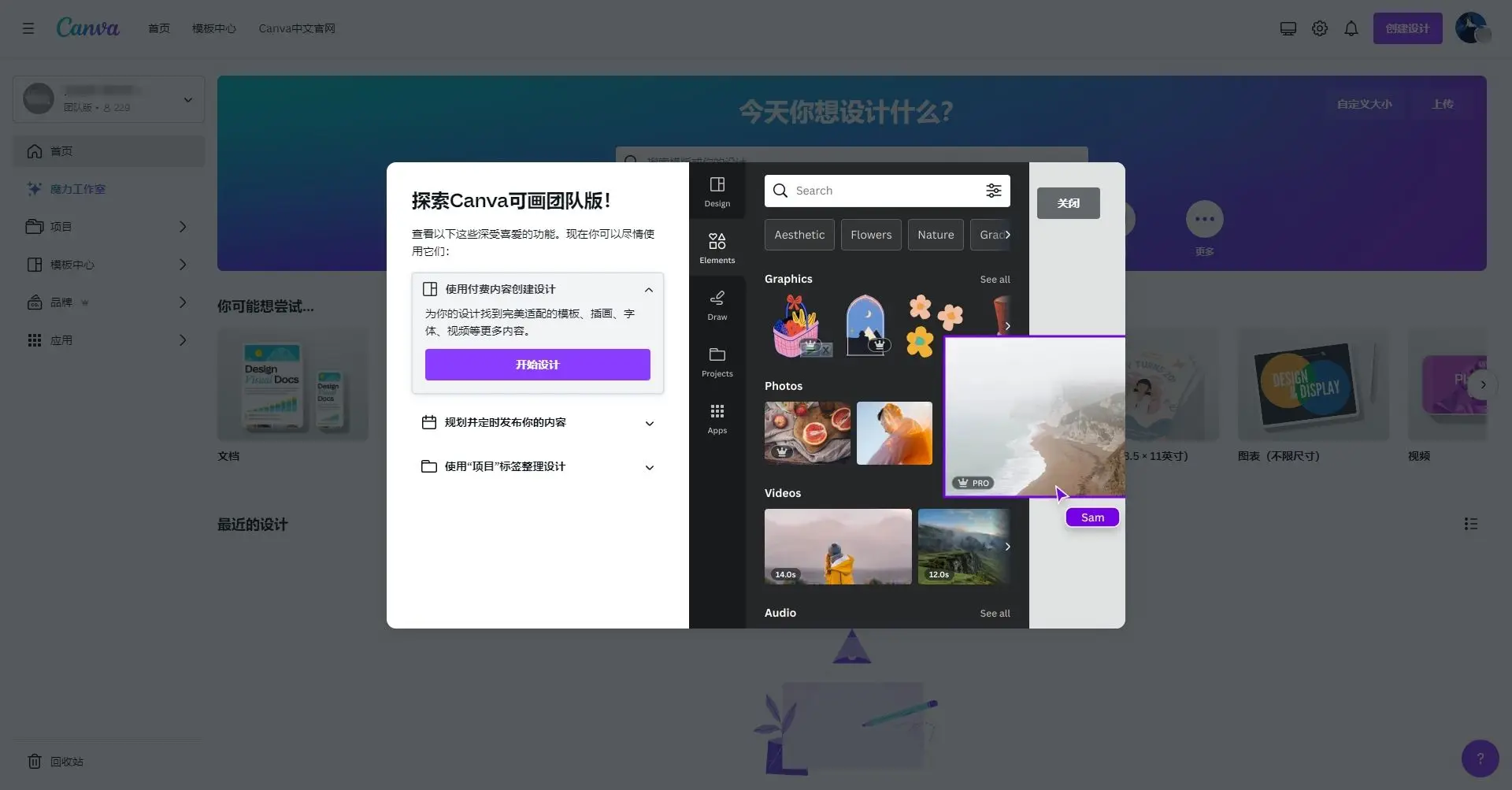 如何免费领取 Canva Pro 团队高级账号 – 轻松升级设计体验