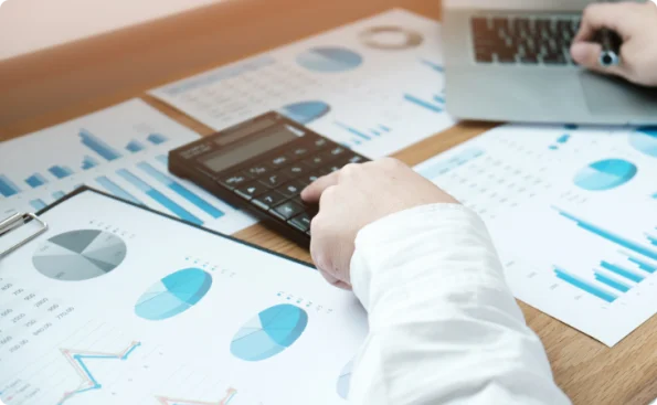 annual audit service (3)