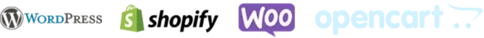 build a website (2)