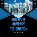 新加坡公司注册服务:迈向东南亚市场的第一步(含首年公司地址费用) 新加坡公司注册服务:迈向东南亚市场的第一步(含首年公司地址费用)