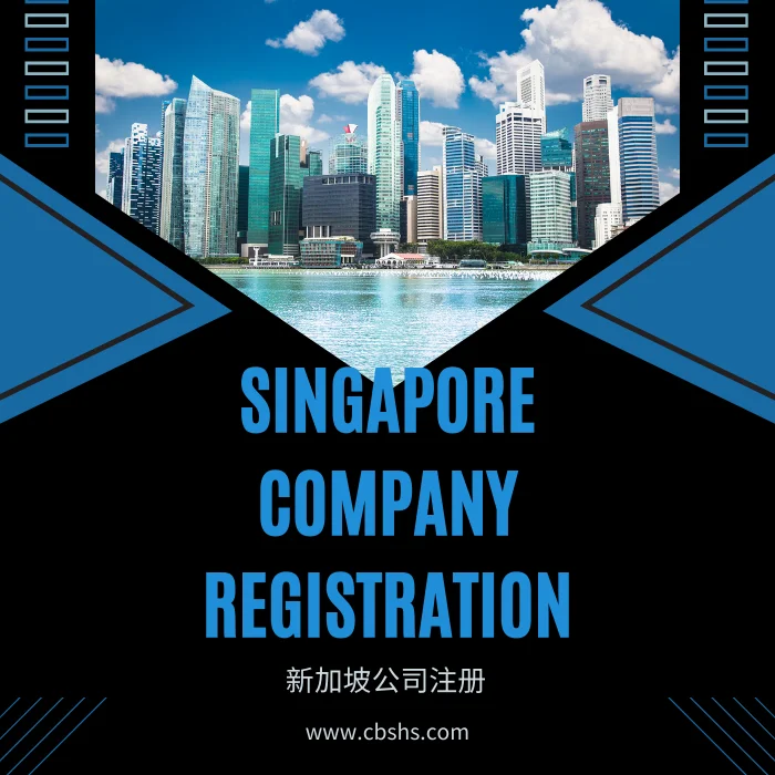 新加坡公司注册服务:迈向东南亚市场的第一步(含首年公司地址费用) 新加坡公司注册服务:迈向东南亚市场的第一步(含首年公司地址费用)