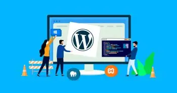 独立站基础概念全解：域名、服务器、WordPress、主题与模板、插件、源代码